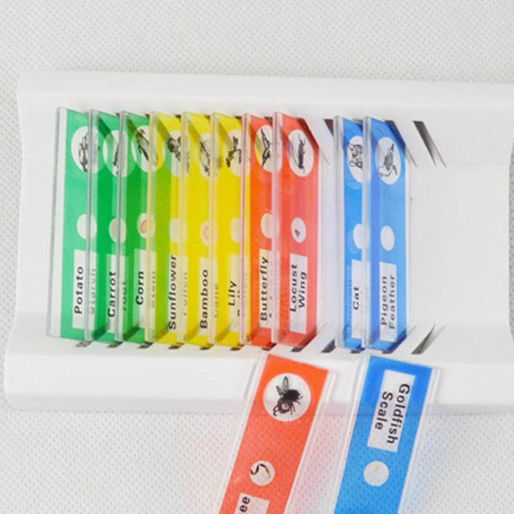 12Pcs Plastic Microscope Slide - Kids Education Level 评论和价格