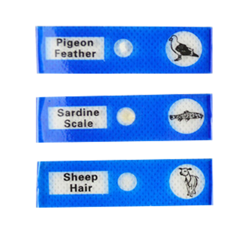 12Pcs Plastic Microscope Slide - Kids Education Level 评论和价格